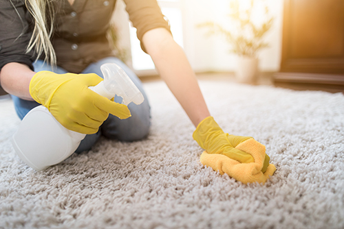 Housewife cleaning carpet.