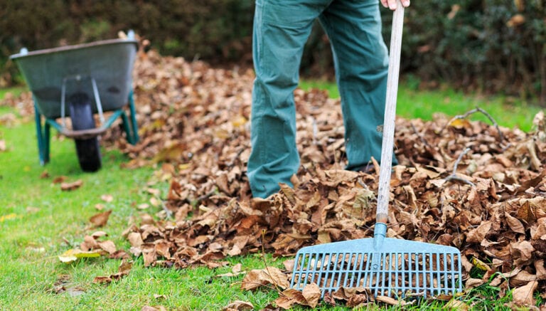 Hausmeisterservice bei der Gartenarbeit